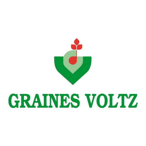 Graines voltz