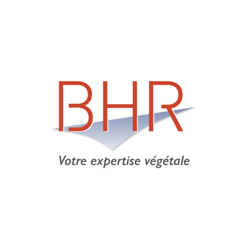 bhr