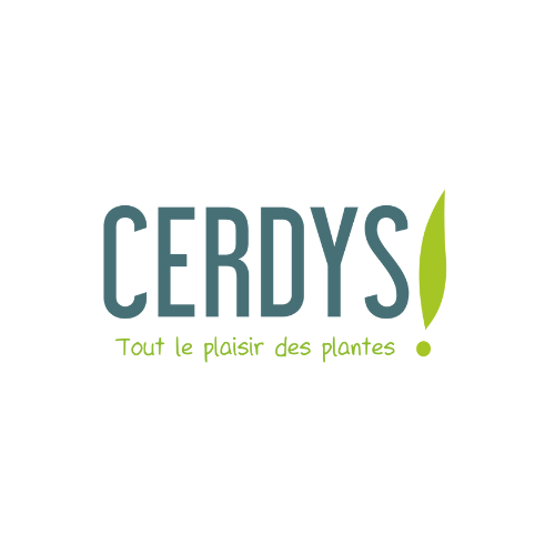cerdys