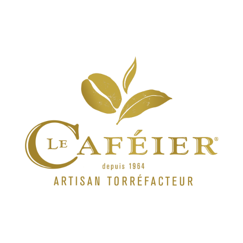 le caféier